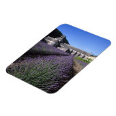 Abdij van Sénanque, Gordes, Vaucluse, Provence, Magneet (Linkerzijde)