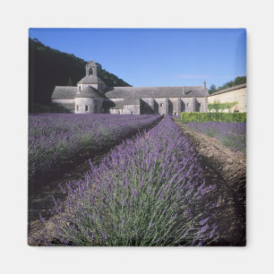 Abdij van Sénanque, Gordes, Vaucluse, Provence, Magneet