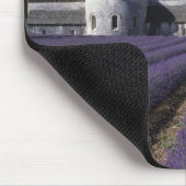 Abdij van Sénanque, Gordes, Vaucluse, Provence, Muismat (Hoek)