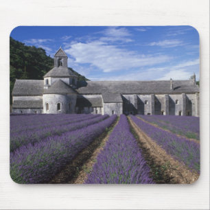 Abdij van Sénanque, Gordes, Vaucluse, Provence, Muismat