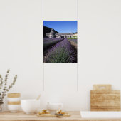 Abdij van Sénanque, Gordes, Vaucluse, Provence, Poster (Keuken)