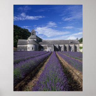 Abdij van Sénanque, Gordes, Vaucluse, Provence, Poster