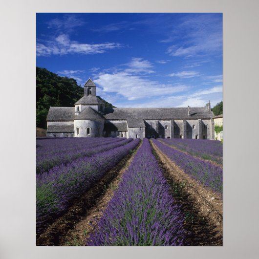Abdij van Sénanque, Gordes, Vaucluse, Provence, Poster (Voorkant)
