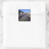 Abdij van Sénanque, Gordes, Vaucluse, Provence, Vierkante Sticker (Tas)