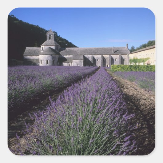 Abdij van Sénanque, Gordes, Vaucluse, Provence, Vierkante Sticker (Voorkant)