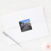 Abdij van Sénanque, Gordes, Vaucluse, Provence, Vierkante Sticker (Envelop)