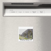 Abdijruïnes Magneet (Insitu (Vaatwasser))