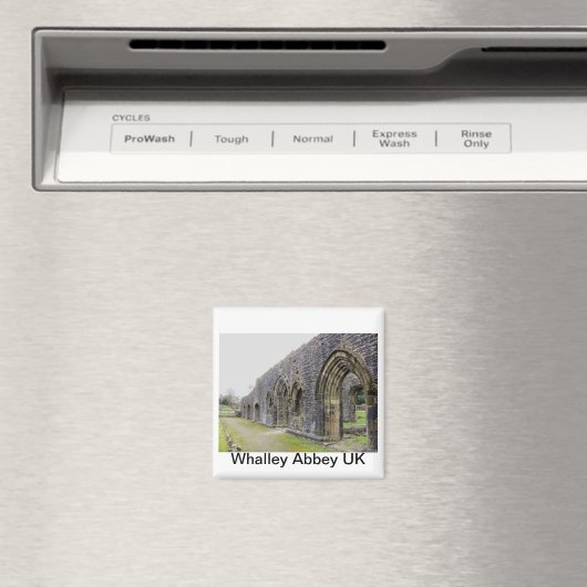 Abdijruïnes Magneet (Insitu (Vaatwasser))