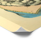 Abdominale organen Menselijke anatomie Kunst Afdru Poster (Hoek)