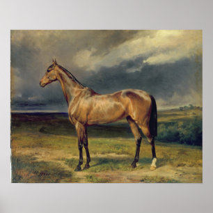 Abdul Medschid' het kastanjepaardje, 1855 Poster