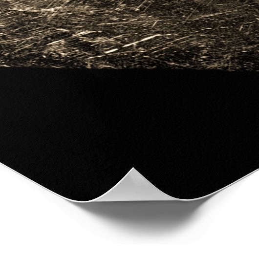 Abe Lincoln Daguerreotype 1846 Poster (Hoek)