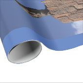 Abe Lincoln Wrapping Paper Cadeaupapier (Rol Hoek)