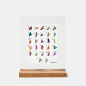 ABECEDARIO LENGUA DE SIGNOS ACRYL BORD (Voorkant)