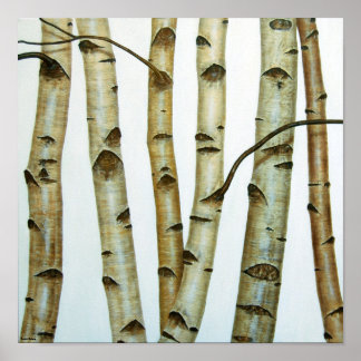 Abedules Blancos Poster