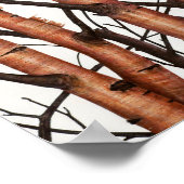 abedules rojos poster (Hoek)