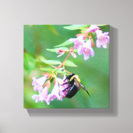 Abelia Bee Canvas Afdruk