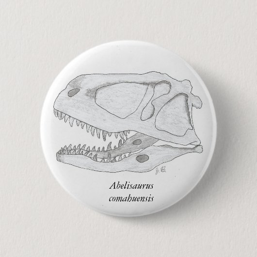 Abelisaurus comahuensis schedelknop ronde button 5,7 cm (Voorkant)