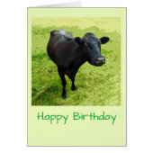 Aberdeen Angus Birthday-kaart (Voorkant)