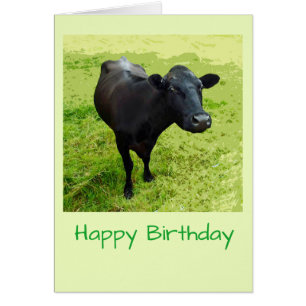 Aberdeen Angus Birthday-kaart