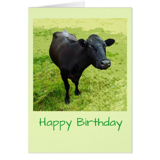 Aberdeen Angus Birthday-kaart (Voorkant)