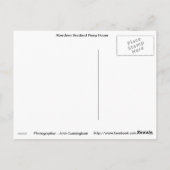 Aberdeen Scotland Pump House Briefkaart (Achterkant)