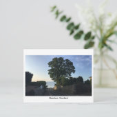 Aberdour, Schotland - weg naar het strand Briefkaart (Staand voorkant)