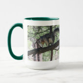 Abert's eekhoorn mok (Links)