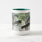 Abert's eekhoorn mok (Midden)