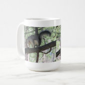 Abert's eekhoorn mok (Voorkant links)