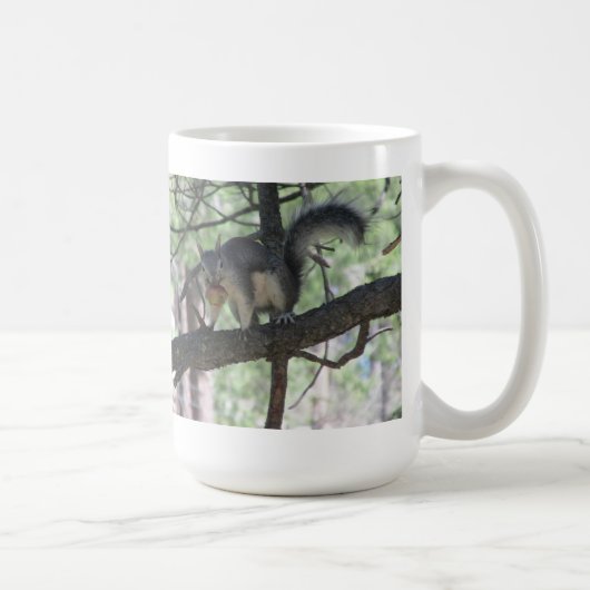 Abert's eekhoorn mok (Rechts)