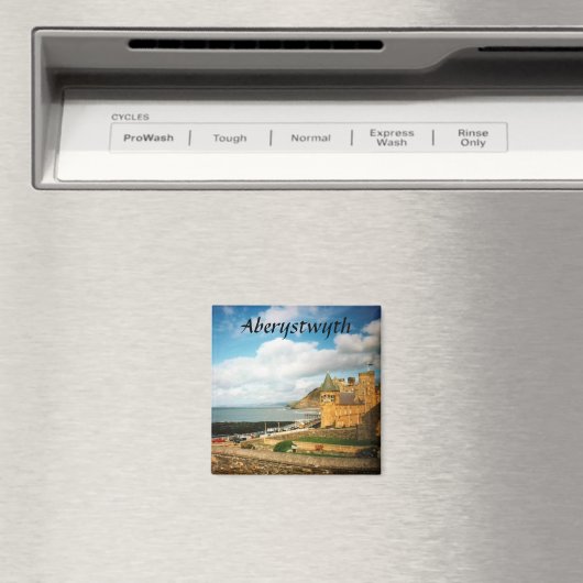 Aberystwyth Magneet (Insitu (Vaatwasser))