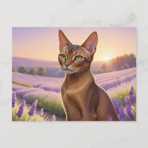 Abessijnse kat in lavendelveld briefkaart