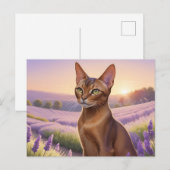 Abessijnse kat in lavendelveld briefkaart (Voorkant / Achterkant)