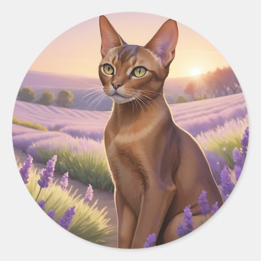 Abessijnse kat in lavendelveld ronde sticker (Voorkant)
