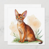 Abessijnse kat omringd door zachte kleuren en groe kaart (Voorkant / Achterkant)