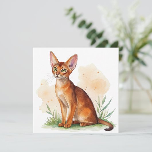 Abessijnse kat omringd door zachte kleuren en groe kaart (Staand voorkant)