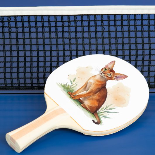 Abessijnse kat omringd door zachte kleuren en groe tafeltennisbatje (Insitu)