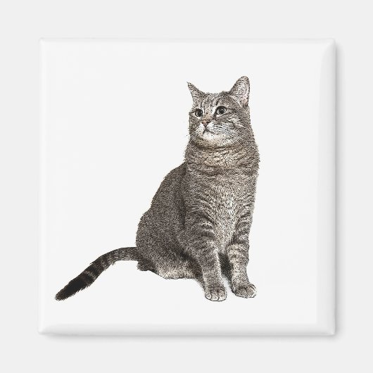 Abessijnse Kat Vierkante Magneet (Voorkant)