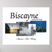 ABH Biscayne Poster (Voorkant)