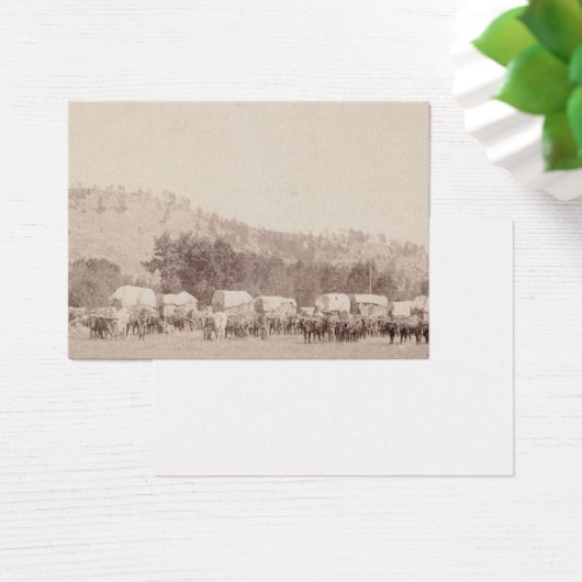 ABH Black Hills Visitekaartje (Bureau)