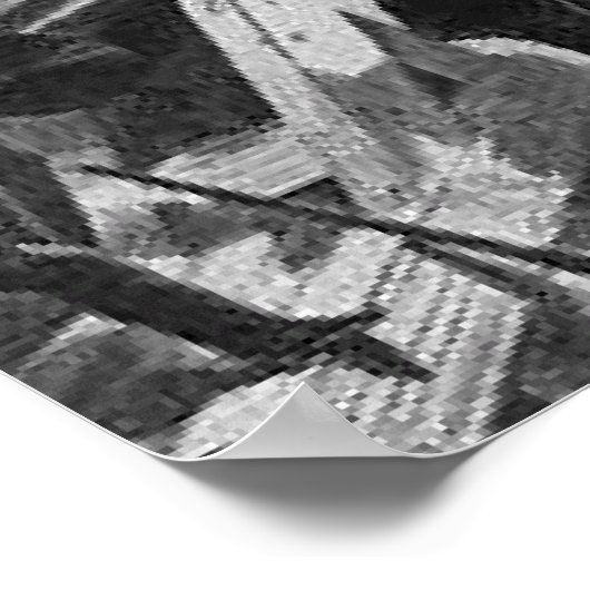 ABH Fort Sumter Poster (Hoek)