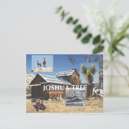 ABH Joshua-structuur Briefkaart (Staand voorkant)