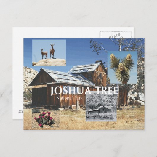 ABH Joshua-structuur Briefkaart (Voorkant / Achterkant)