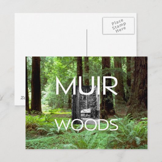 ABH Muir Bossen Briefkaart (Voorkant / Achterkant)