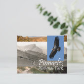 ABH Pinnacles NP Briefkaart (Staand voorkant)