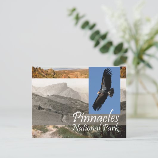 ABH Pinnacles NP Briefkaart (Staand voorkant)