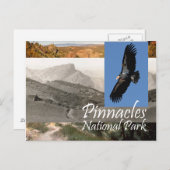 ABH Pinnacles NP Briefkaart (Voorkant / Achterkant)