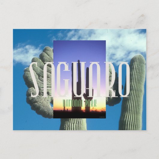 ABH Saguaro Briefkaart (Voorkant)