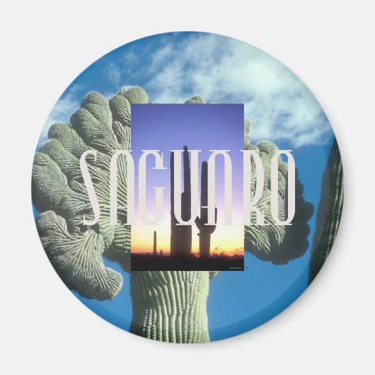 ABH Saguaro Magneet (Voorkant)