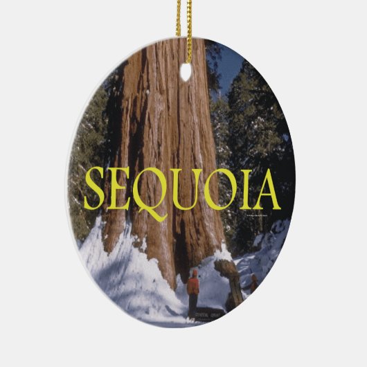 ABH Sequoia Keramisch Ornament (Rechts)